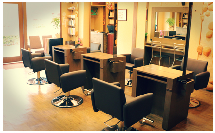 salon1